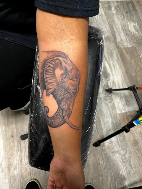 Black and grey forearm tattoo of an elephant mid-stride with its trunk lowered