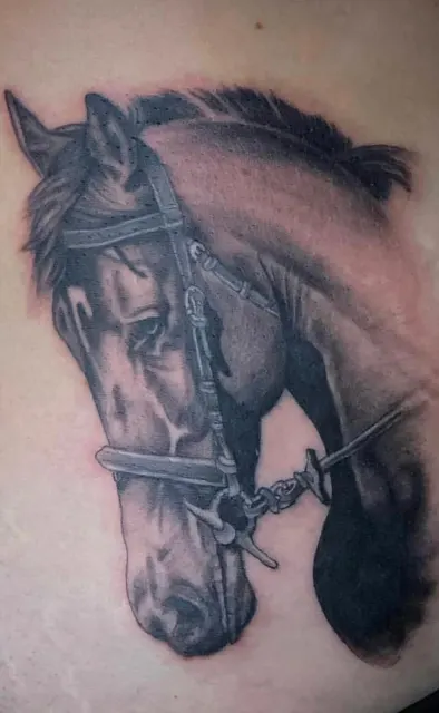 Black and grey portrait of a bridled horse rendered with photographic shading