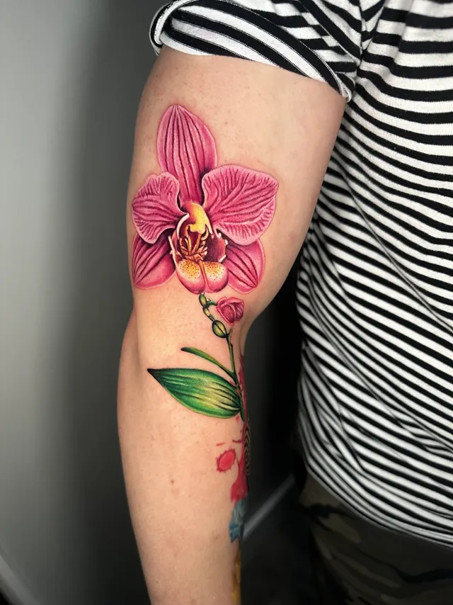 Color tattoo of a pink orchid with stem and leaves on the back of the arm